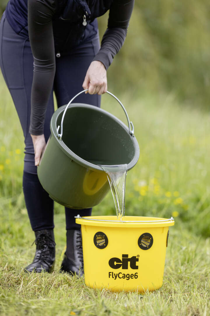 cit Fliegenfalle FlyCage inklusive Lockstoff